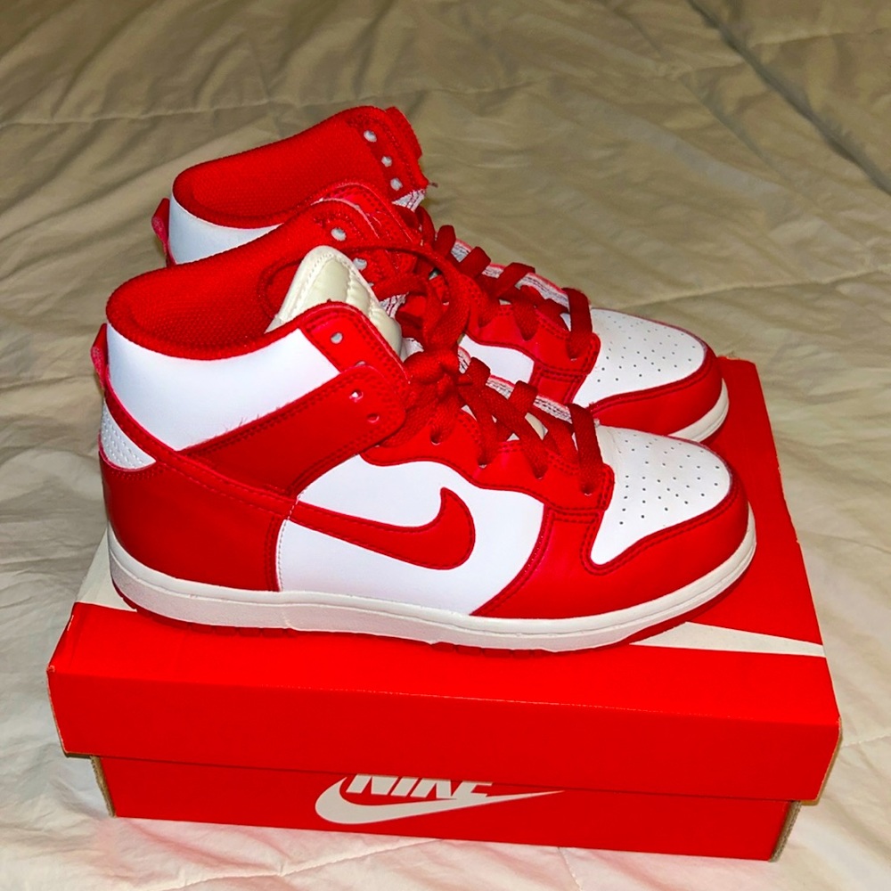 Nike Dunk High